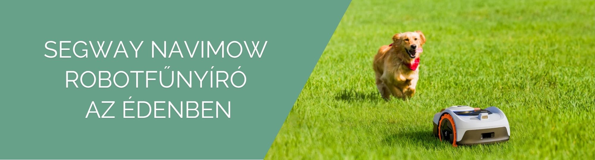 Segway robotfűnyíró
