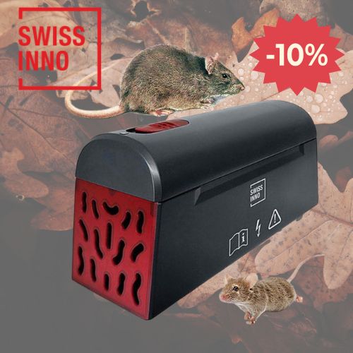 Akciós ár: 25.950 Ft